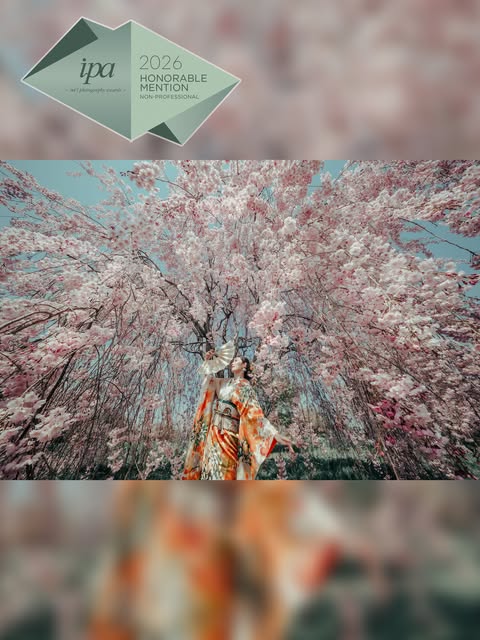 しだれ桜と着物姿の人物。