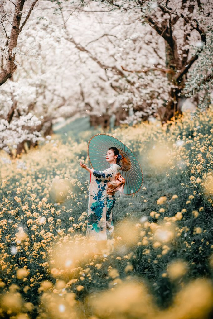 桜と菜の花の中で、和傘を手に立つ着物姿の人物。nabecam撮影。